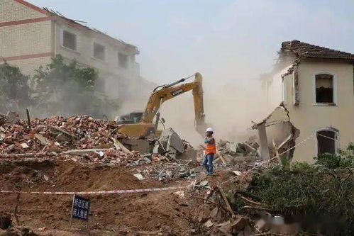 鄂州城市綠化工程的生態(tài)實(shí)踐與民生影響